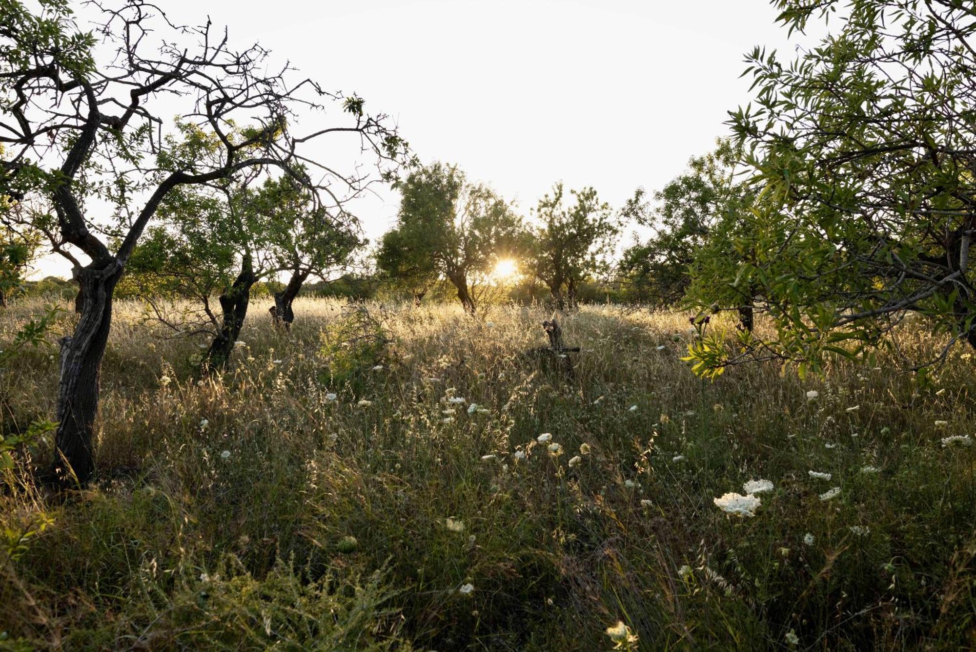 Soul Valley All-In Boutique Hotel With Yoga & Wellness Maracalagonis Bagian luar foto