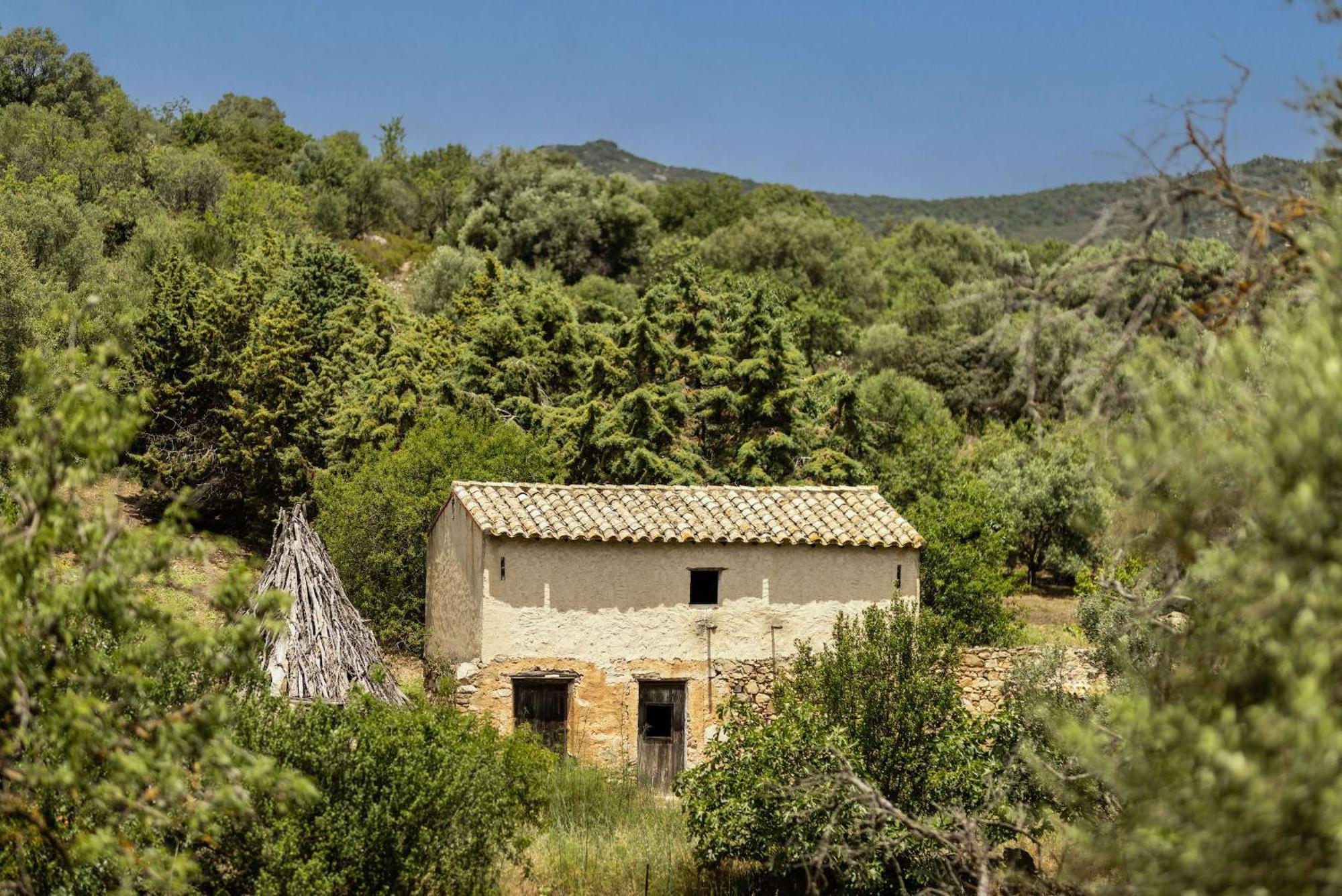 Soul Valley All-In Boutique Hotel With Yoga & Wellness Maracalagonis Bagian luar foto